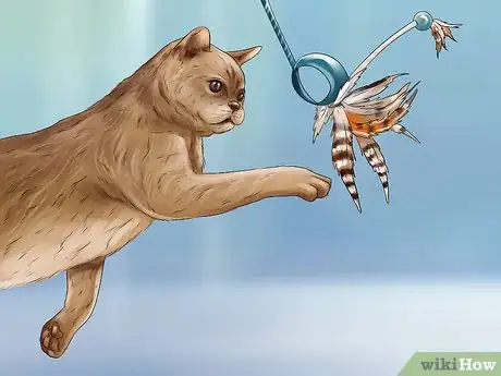 Image titled Train Your Cat with Positive Reinforcement Step 2