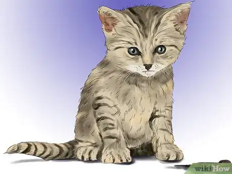 Image titled Give Ronidazole to Cats with Trichomoniasis Step 13