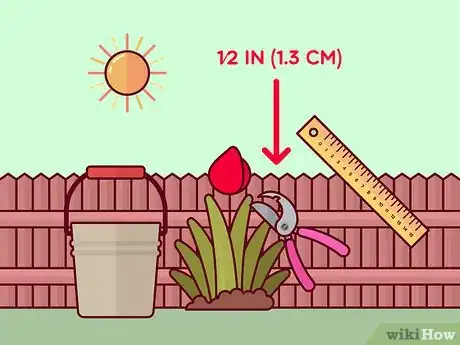 Image titled Prune Tulips Step 6