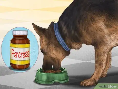 Image titled Treat Pancreatic Enzyme Deficiencies in German Shepherds Step 6