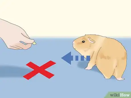 Image titled Teach a Guinea Pig to Do Tricks Step 8