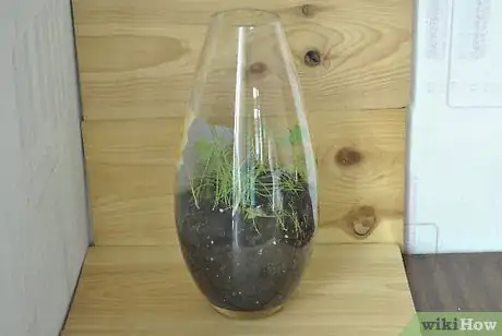 Image titled Make a Mini Biodome Step 7