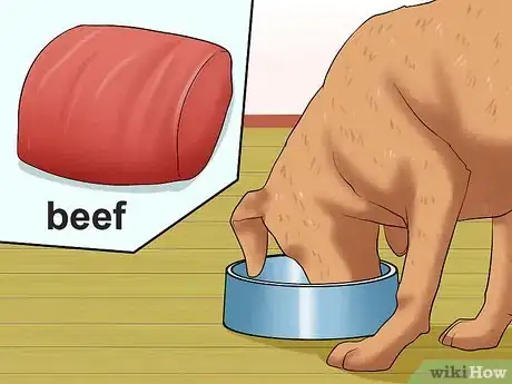 Image titled Diagnose Canine Allergies Step 4