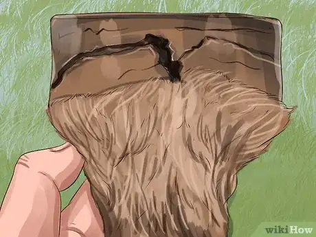 Image titled Clean a Horse's Hoof Step 12