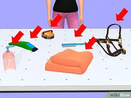 Image titled Show a Miniature Horse Step 4