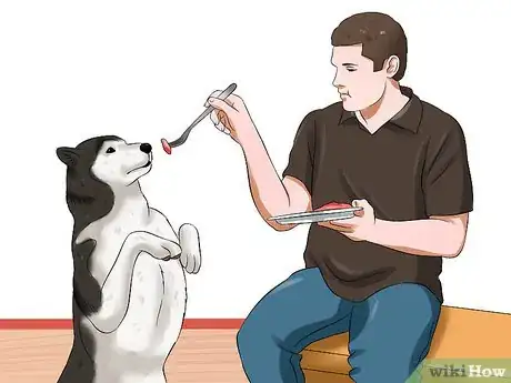 Image titled Protect Your Dog from Holiday Hazards Step 13