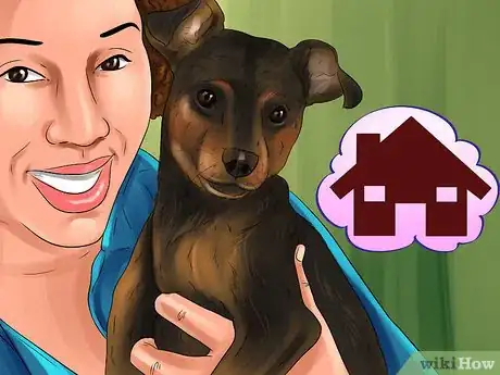 Image titled Choose a Minpin Step 15