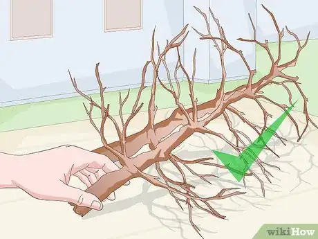 Image titled Make a Jewelry Tree Step 6