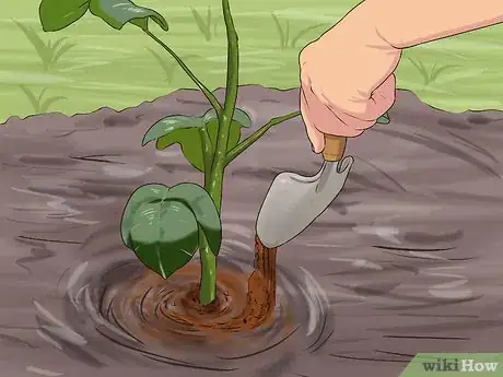 Image titled Recycle Coffee Grounds From Your Coffee Maker Step 5