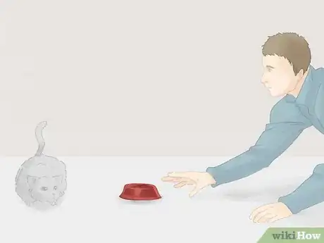 Image titled Handle a Stray Cat Step 23