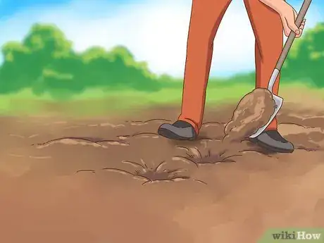 Image titled Grow Dichondra Step 15