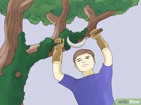 Image titled Remove an Ivy Plant Step 9