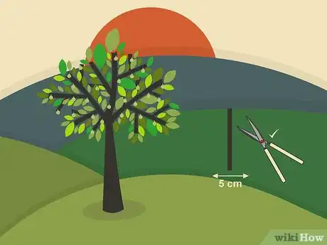 Image titled Prune Walnut Trees Step 10