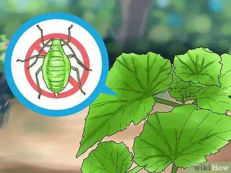 Image titled Buy Potted Flowers Step 6