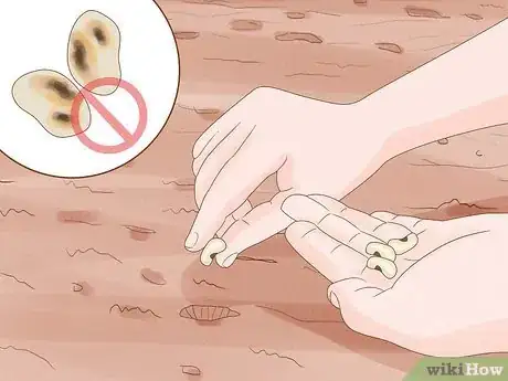 Image titled Reduce the Use of Pesticides in Farming Step 3