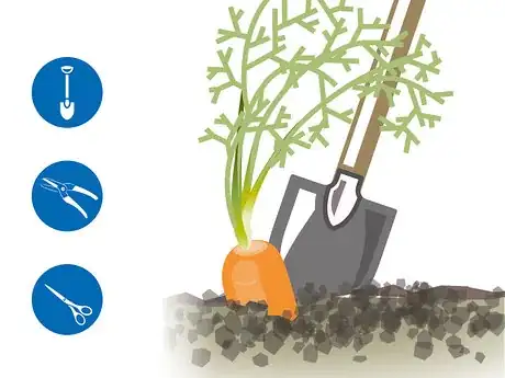 Image titled Grow Biennial Vegetables Step 09