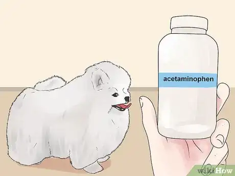 Image titled Control Arthritis Pain in Dogs Step 2