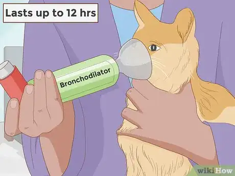 Image titled Treat a Cat With Asthma Step 10