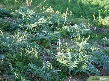 Image titled Save Animals by Participating in Indian Wildlife Conservation Projects Step 4