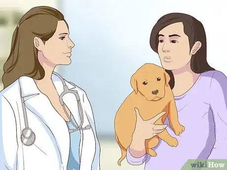 Image titled Diagnose Coughing in Dogs Step 5