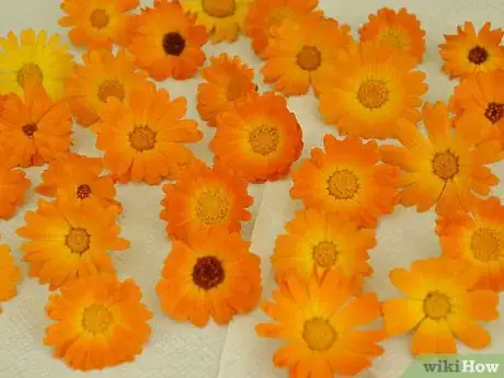 Image titled Dry Edible Flowers Step 3Bullet2