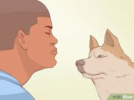 Image titled Know if Your Old Dog Stops Recognizing People Step 3