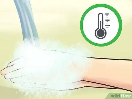 Image titled Bathe a Russian Tortoise Step 13