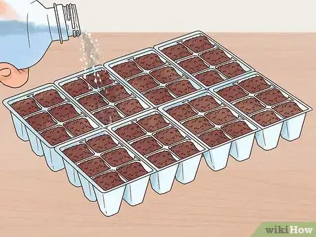 Image titled Grow Perennials From Seed Step 9