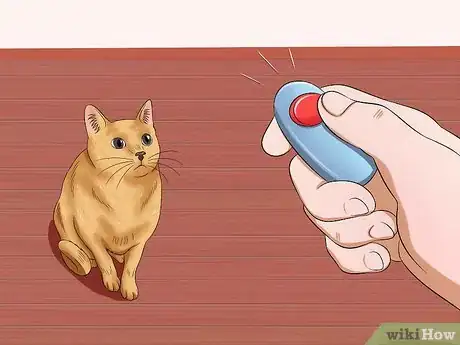 Image titled Get Your Cat to Stand Up Step 1