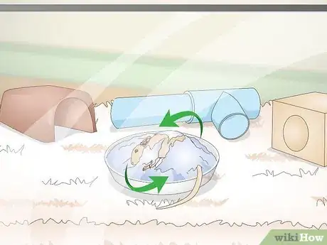 Image titled Spoil Your Gerbils Step 9
