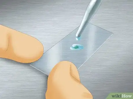 Image titled Use a Microscope to Observe Microorganisms Step 8
