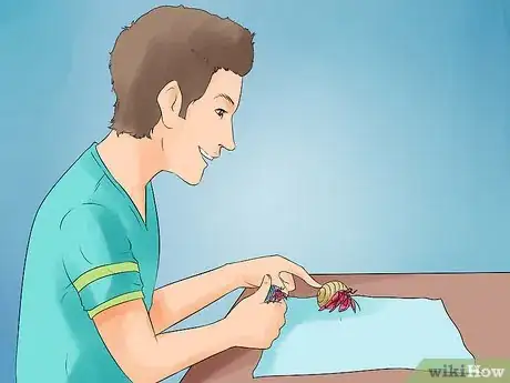 Image titled Care for Hermit Crabs Step 17