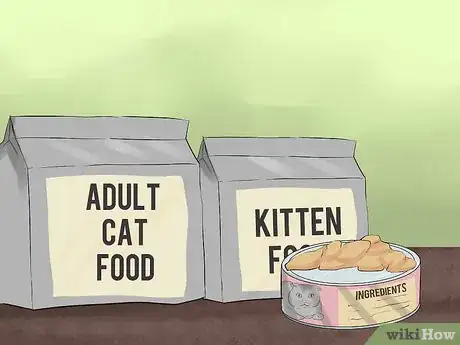 Image titled Take Care of a Japanese Bobtail Step 6