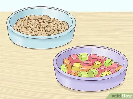 Image titled Take Care of a Hedgehog Step 13