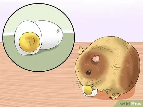 Image titled Make Baby Dwarf Hamster Food Step 7