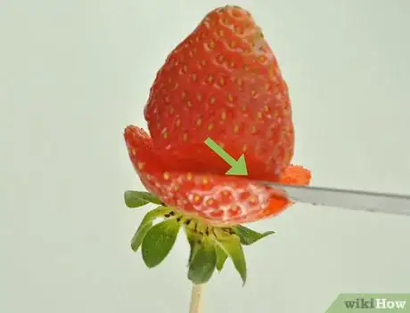 Image titled Make Strawberry Flowers Step 3