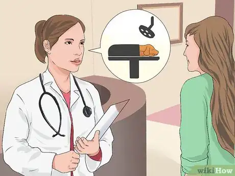 Image titled Treat Canine Cancer Step 4