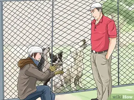 Image titled Help Shut Down Puppy Mills Step 3