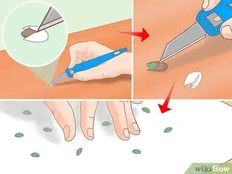 Image titled Plant a Lemon Seed Step 19