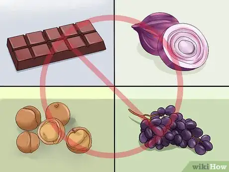 Image titled Choose Cat Treats Step 10