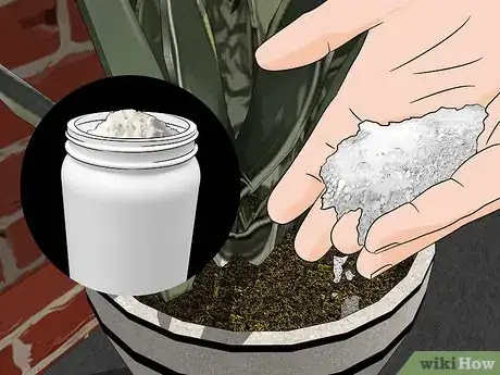 Image titled Remove Ants from Potted Plants Step 3