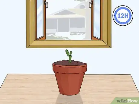 Image titled Plant a Christmas Cactus Step 16