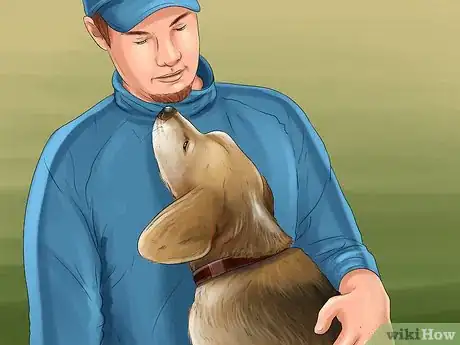 Image titled Keep an Indoor Dog Active Step 7