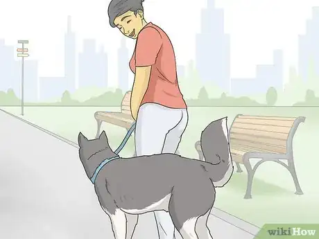 Image titled Train Seizure Alert Dogs Step 17