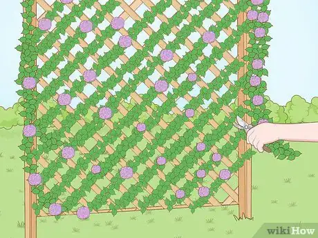 Image titled Build a Living Fence Step 10