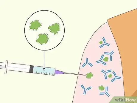 Image titled Educate Others on the Importance of Immunization Step 1