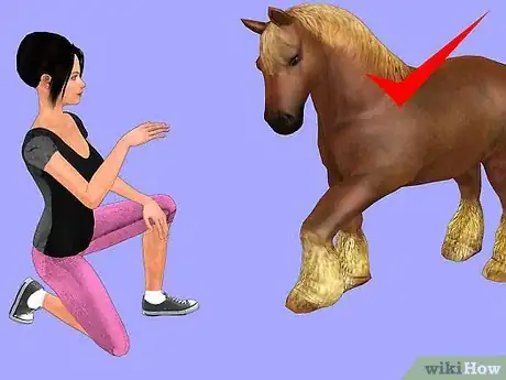 Image titled Show a Miniature Horse Step 3