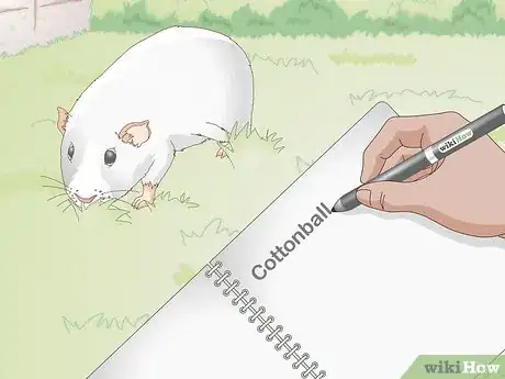 Image titled Choose Your Guinea Pig's Name Step 1