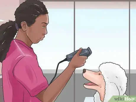 Image titled Groom a Longhair Dog Step 11