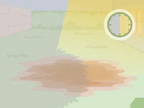 Image titled Care for a Bleeding Heart Step 1